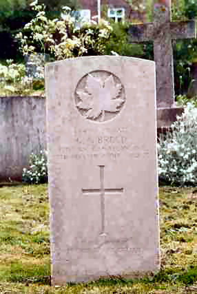 papworthbreed.jpg - 11694 Bytes