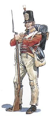Private 31st Regiment of Foot - 1815